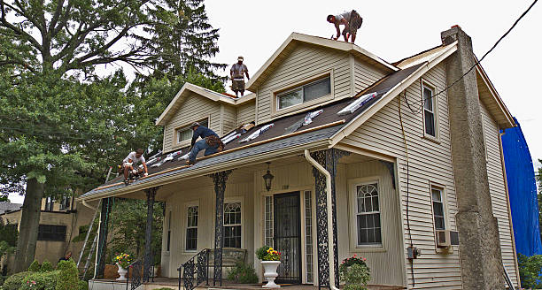 Professional Roofing Contractor in Dripping Springs, TX